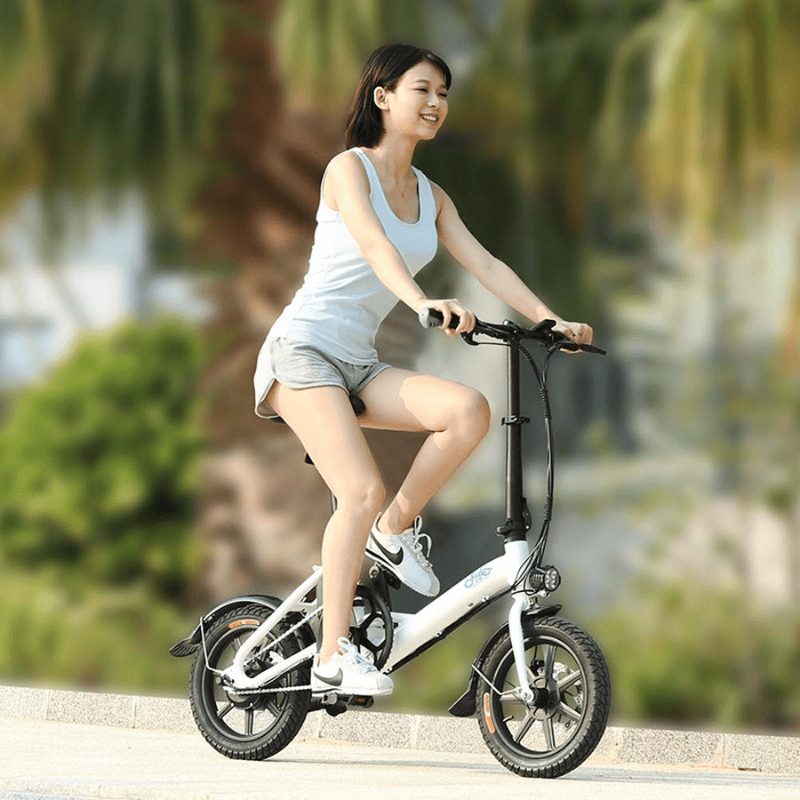 Xe đạp điện trợ lực Fiido D3 Pro