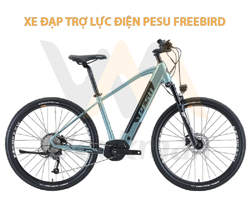 xe đạp Pesu Freebird