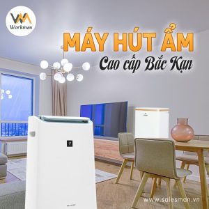 Địa chỉ bán máy hút ẩm cao cấp Bắc Kạn ưu đãi hấp dẫn